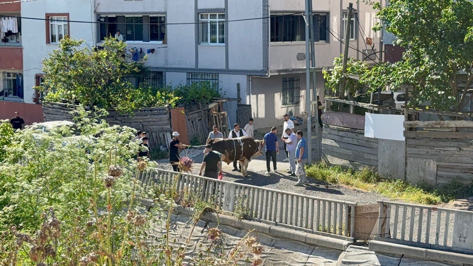 Esenyurt'ta kaçak kurban kesimlerine ceza uygulandı