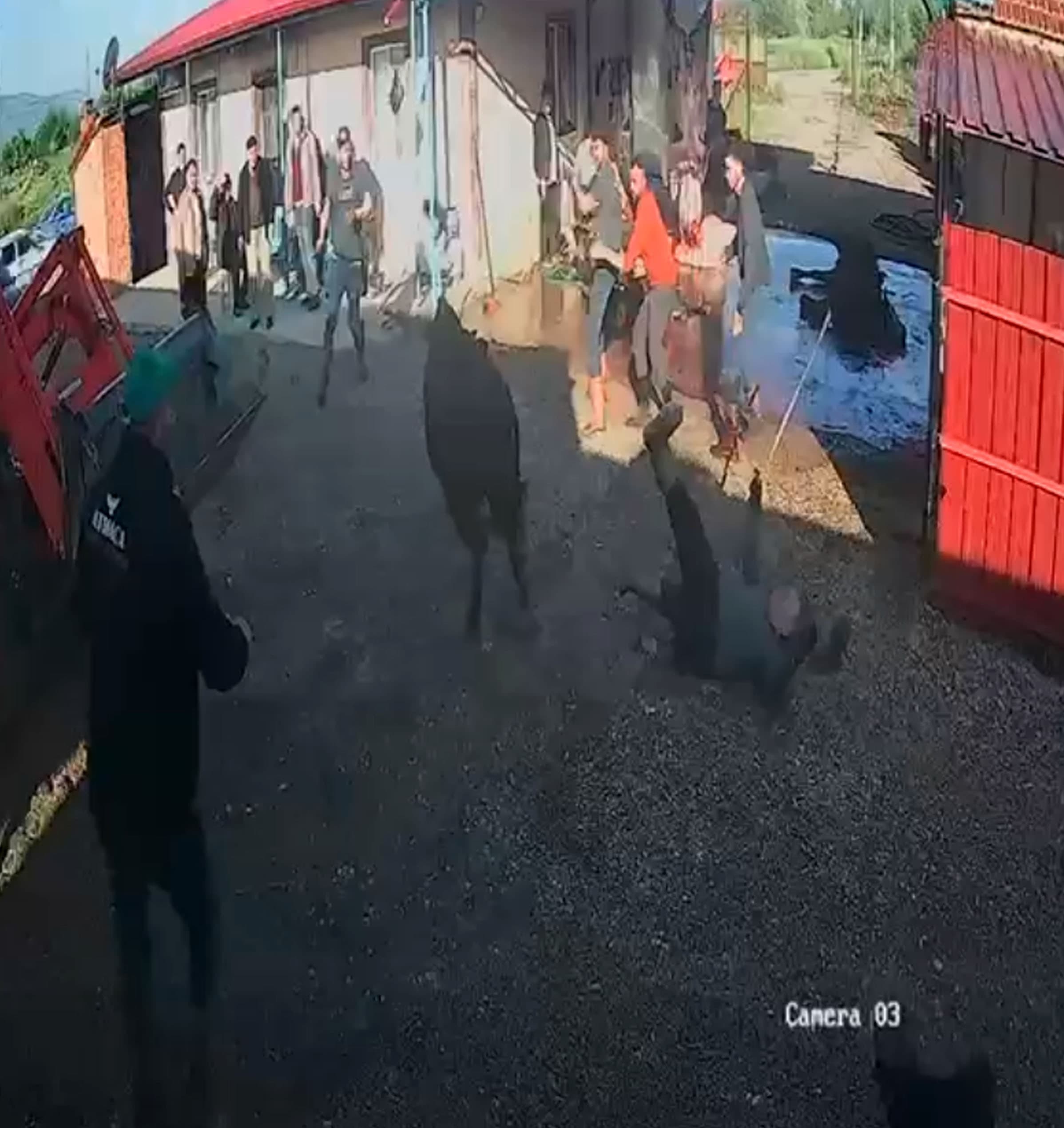 Kurbanlık boğa ipinden kurtulunca 5 kişiyi yaraladı