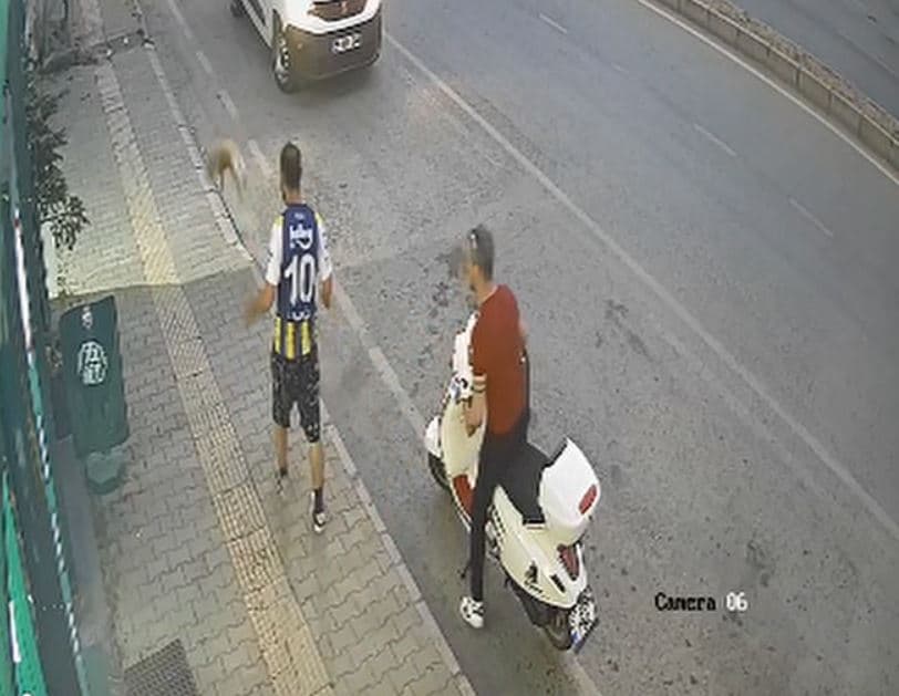 Kediyi tekmeleyen kişi Samsun'da yakalandı