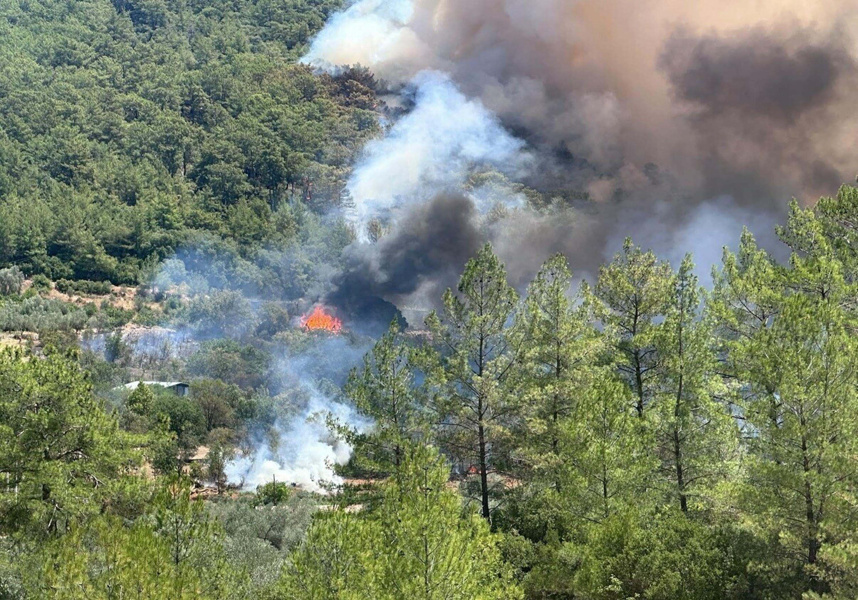 Muğla ve Antalya'da orman yangınına müdahale ediliyor