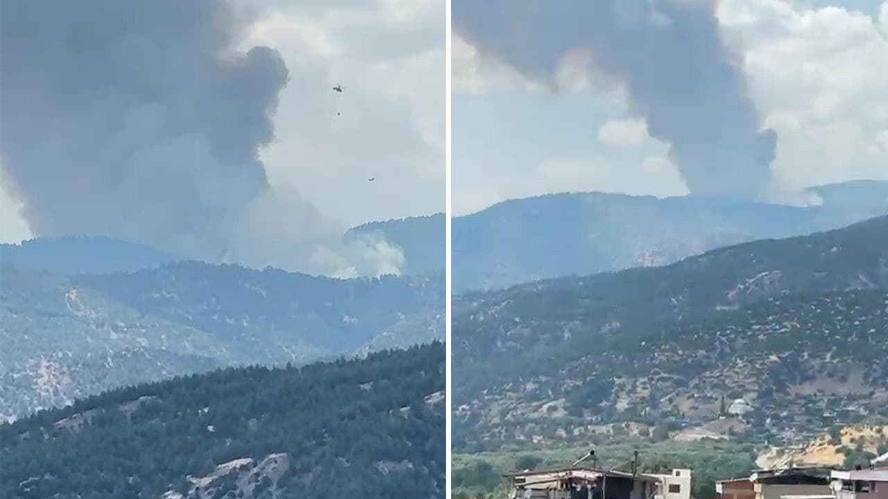 Kuyucak'ta orman yangını çıkmış durumda