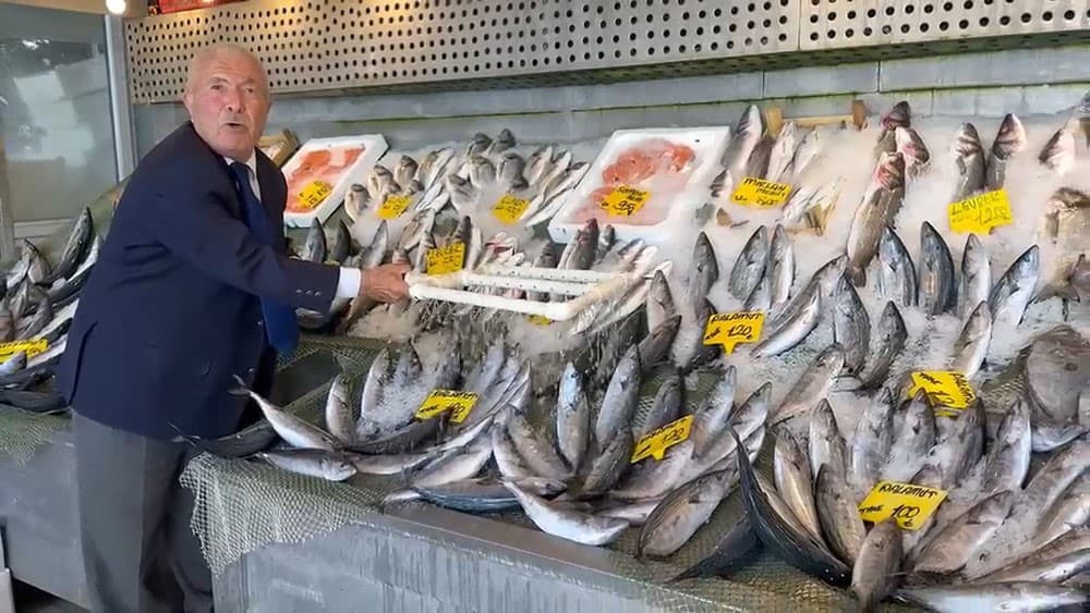 Balık sezonu bereketli başladı, palamut fiyatları dikkat çekiyor