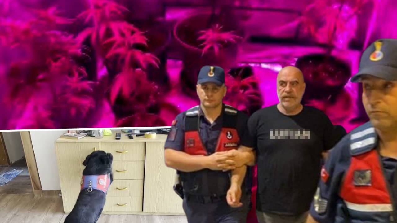 Ezel Akay'ın evinde uyuşturucu üretim sistemi bulundu