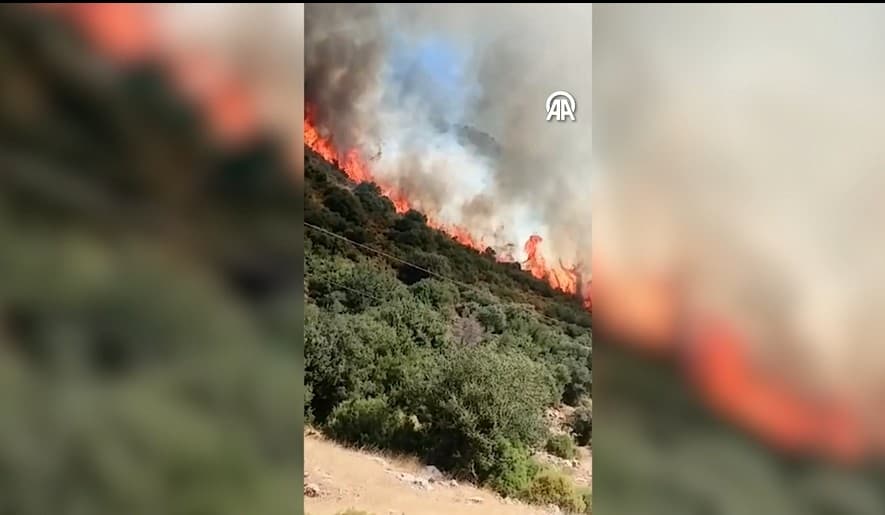 Antalya'da makilik alanda yangın çıktı