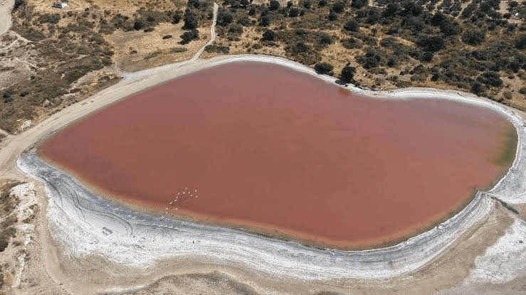 Kalpli Göl yaz sıcaklarıyla pembe renge döndü