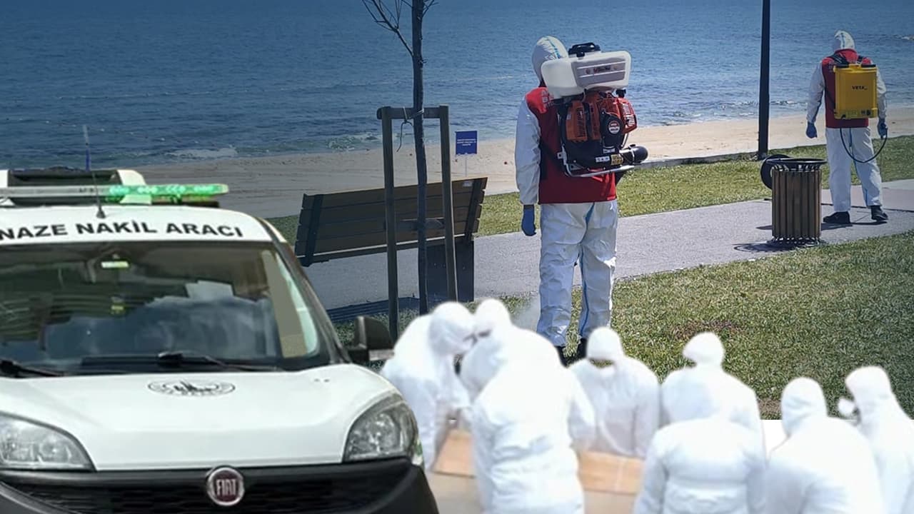 Kene tehlikesi arttı, can kaybı üçe yükseldi; en riskli şehirler Sivas, Tokat, Yozgat, Çorum ve Kastamonu