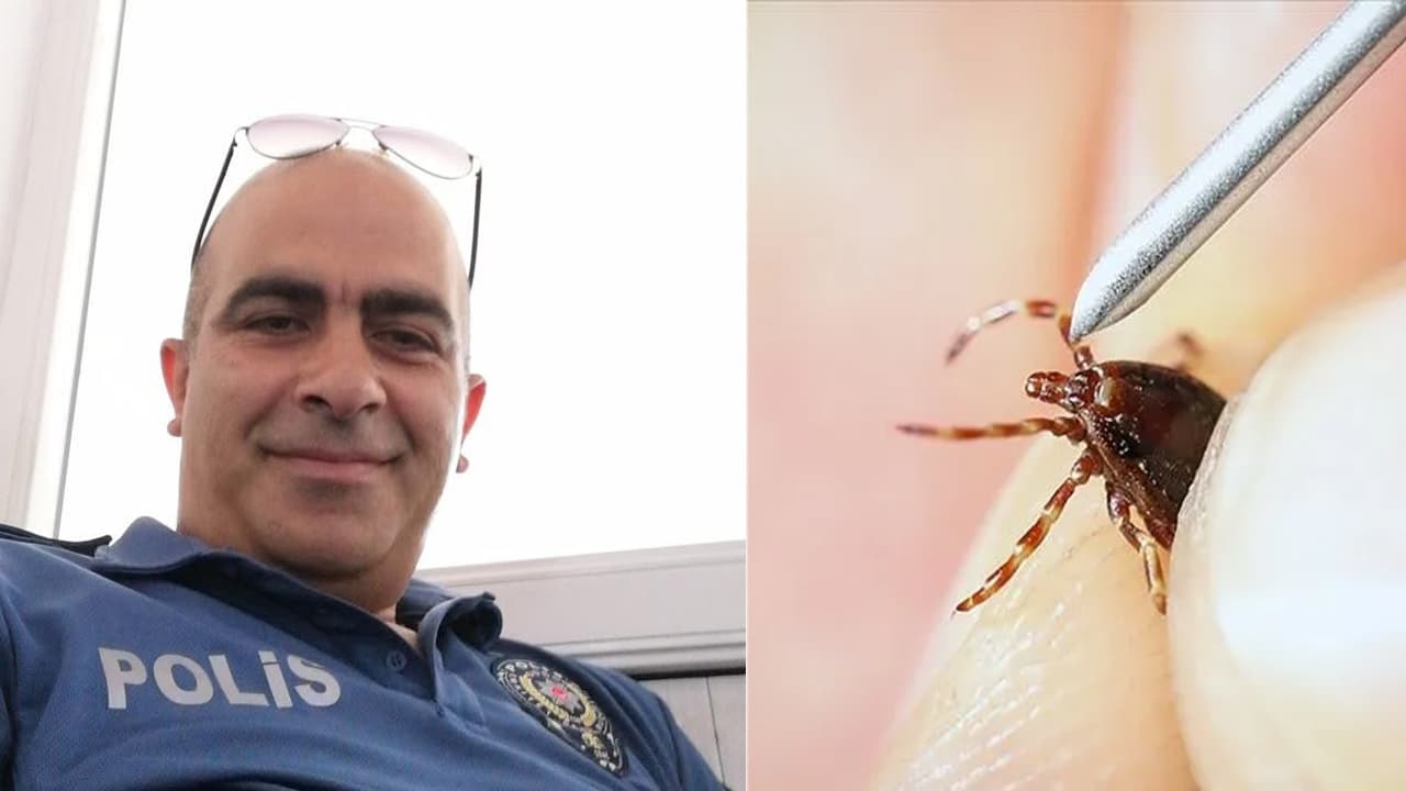 Tokat'ta kene nedeniyle bir emekli polis hayatını kaybetti