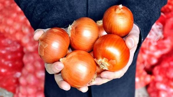 Yağışlar soğan üretimini olumsuz etkiledi, fiyatlar yükseldi