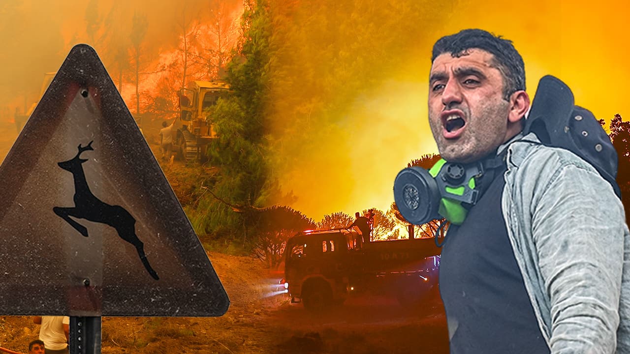 Aydın Çine'de orman yangınlarına havadan müdahale başladı