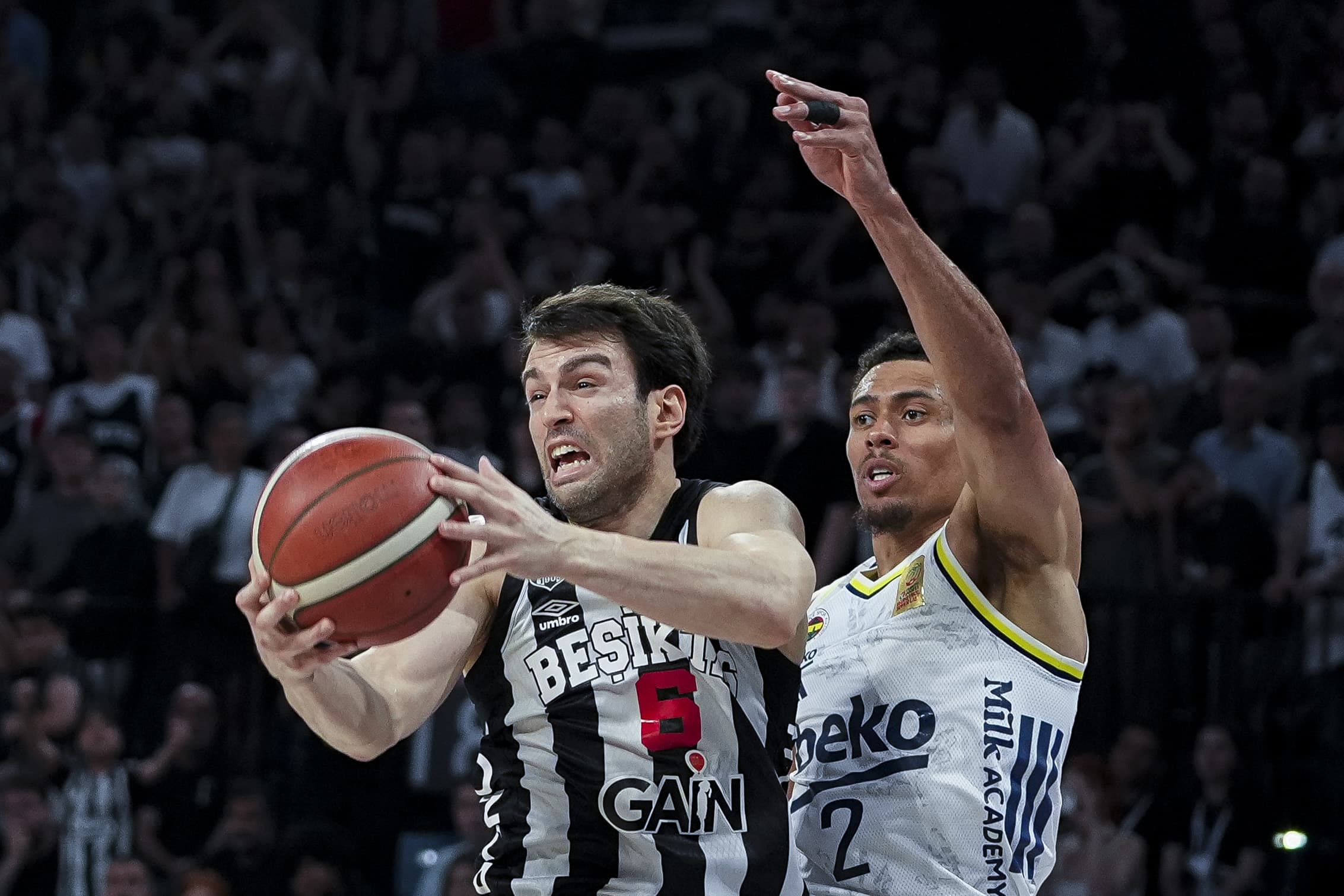 Fenerbahçe Beko, Basketbol Süper Ligi'nde üçüncü kez şampiyon oldu