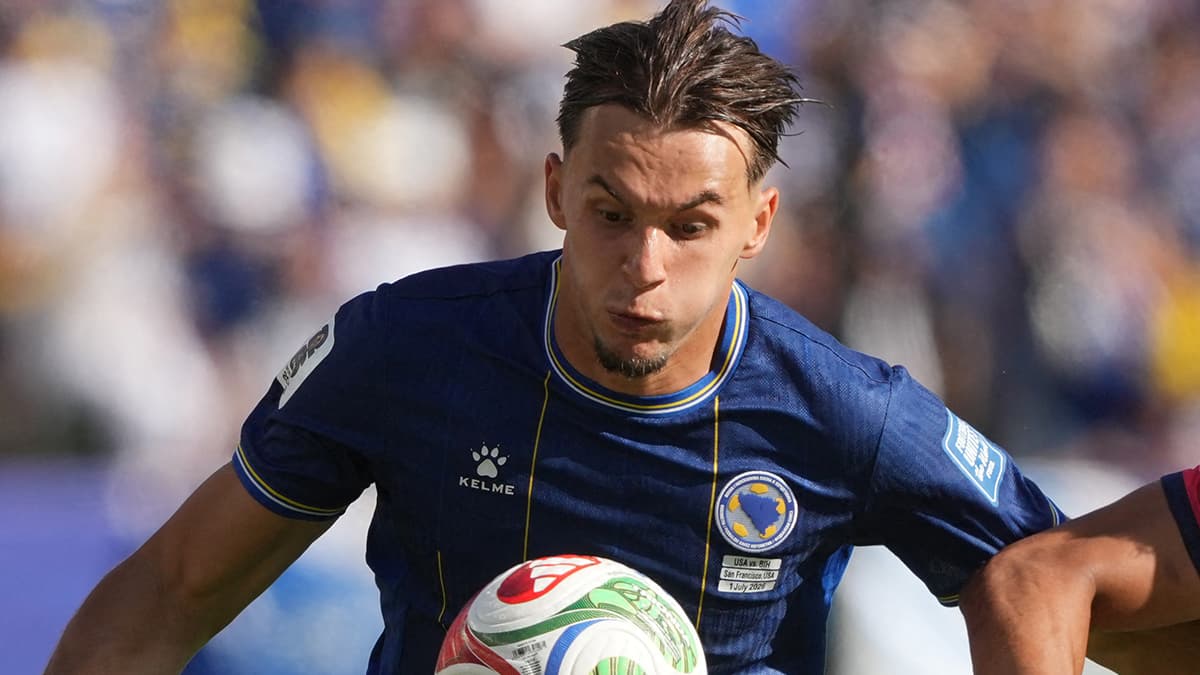 Fenerbahçe, Amar Dedic için Benfica'nın kararını bekliyor