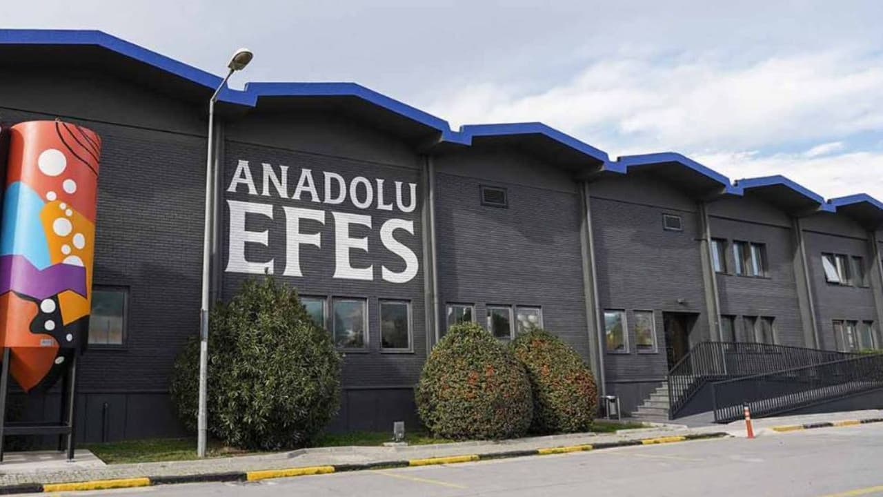 Anadolu Efes, Tariş Üzüm'ün yüzde 60'ını 25,4 milyon dolara satın aldı