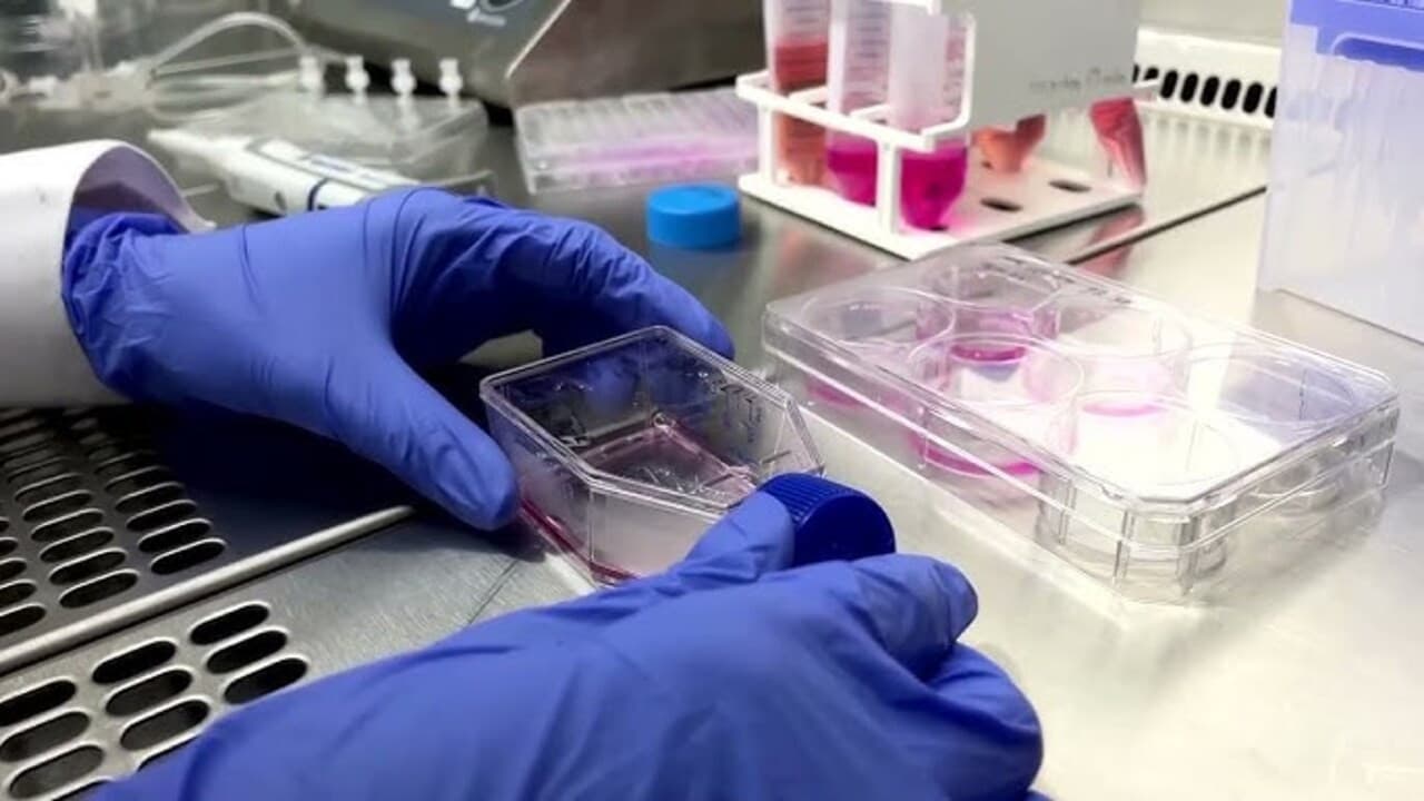 Türk şirket ABD'de 24 milyon dolara biyoteknoloji yatırımı yaptı