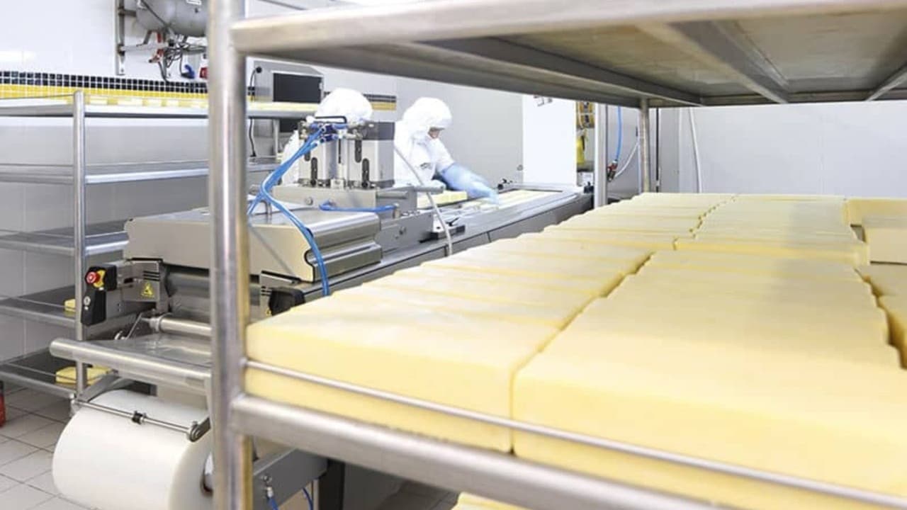 Gündoğdu Gıda, 3 milyar lira sermaye artırımı sürecini başlattı