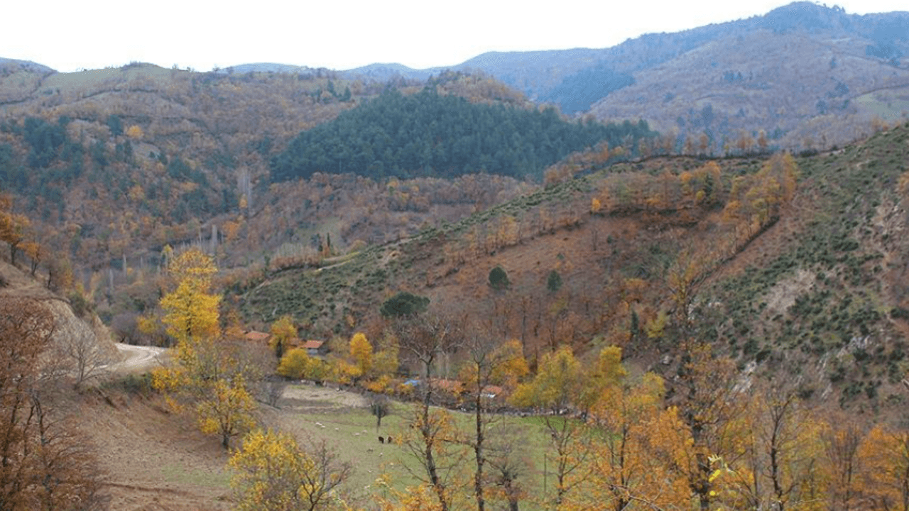 Türk Altın, İvrindi’deki maden ruhsatını devralmak için anlaşma imzaladı
