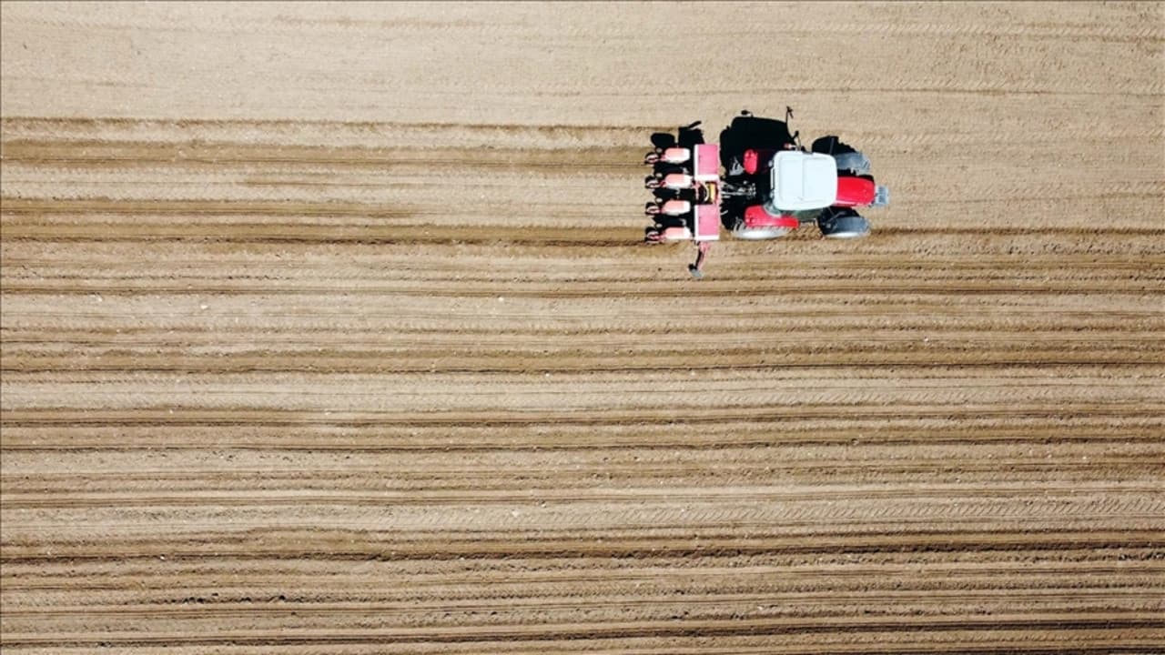 Savaşta korkutan gıda senaryosu: En çok bu ülkeler etkilenecek