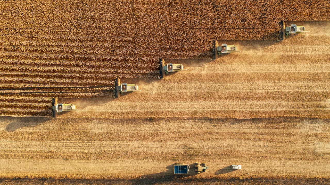 FAO: Açlık, füzelerden daha ucuz bir silah