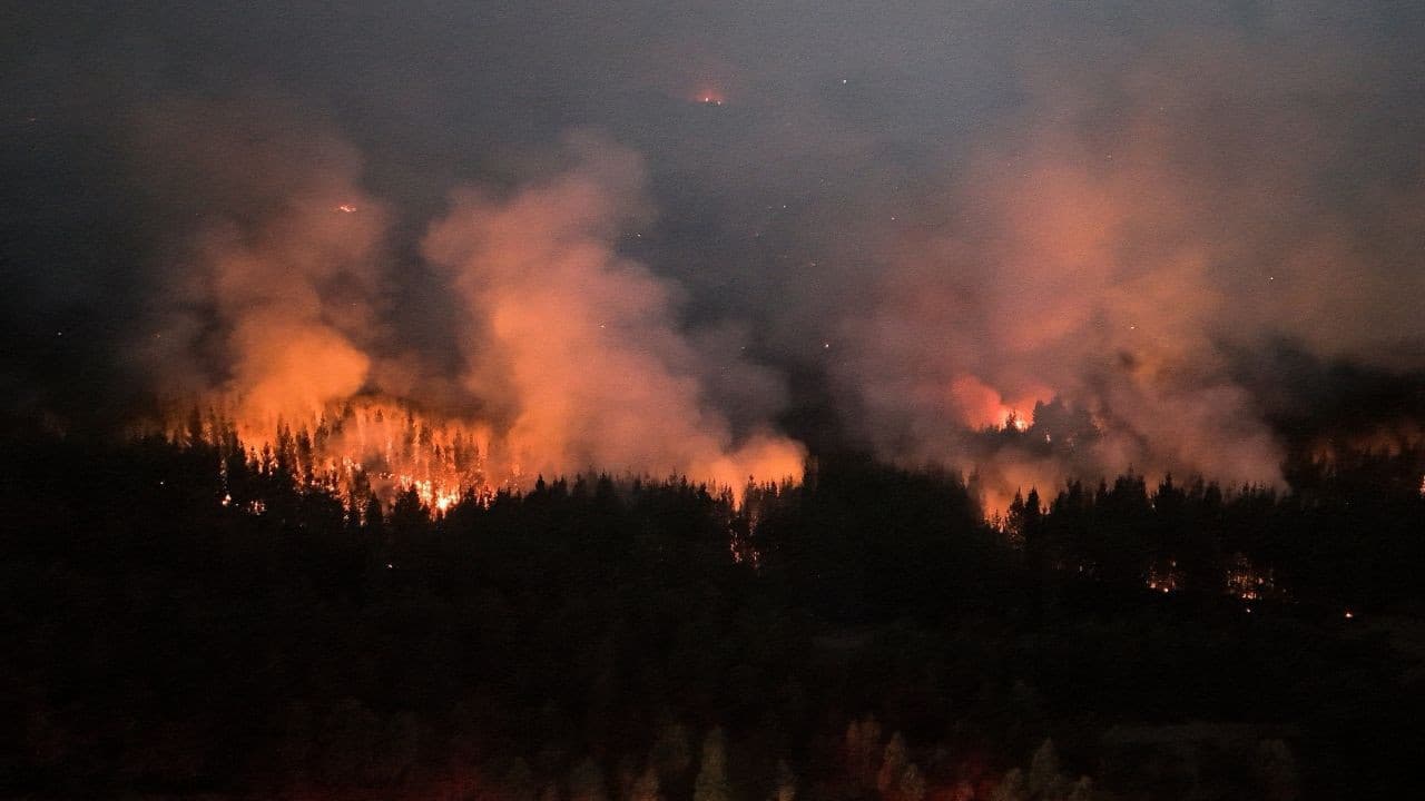 Dünya Meteoroloji Örgütü'nden El Niño raporu açıklandı