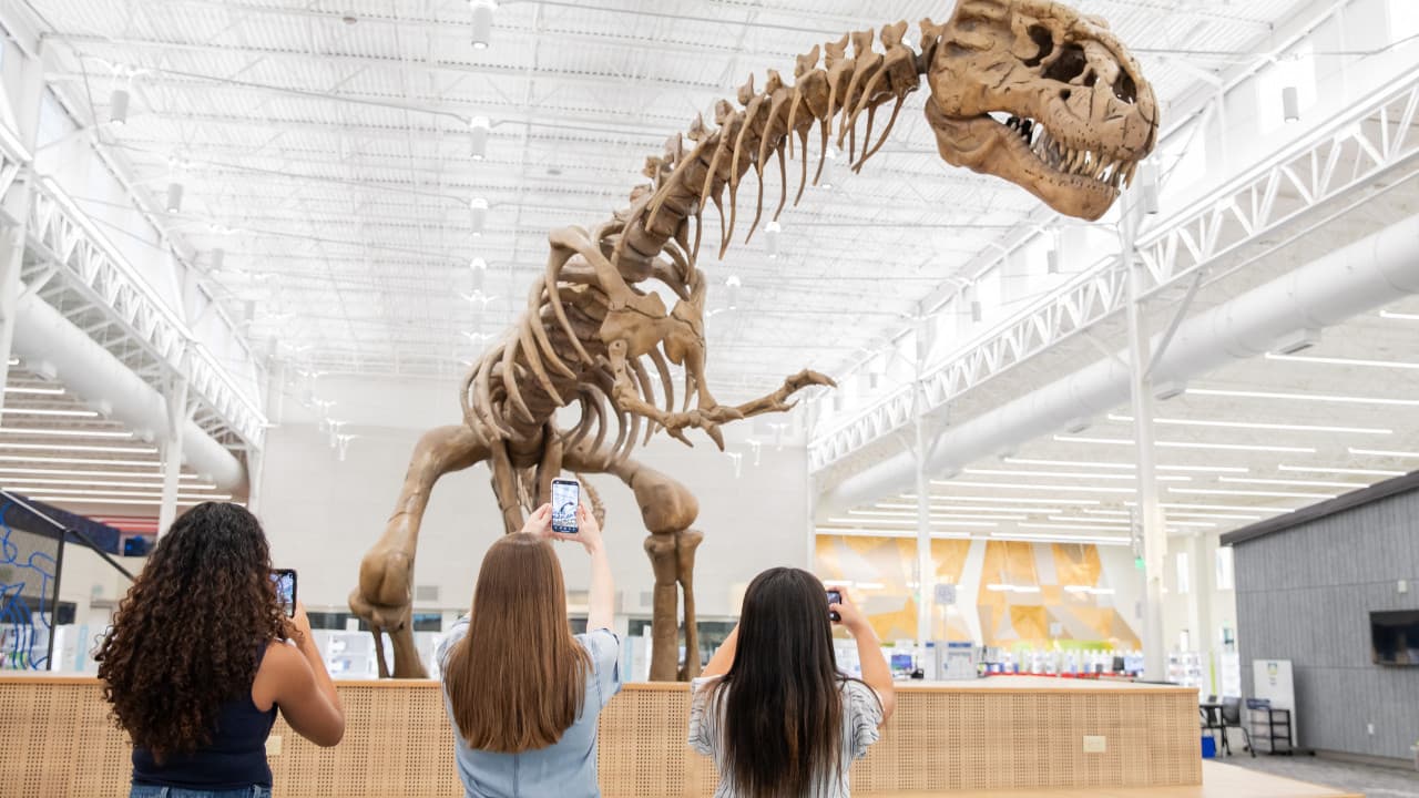 Milyonlarca dolara satılacak nadir Tyrannosaurus rex fosili açık artırmaya çıkıyor