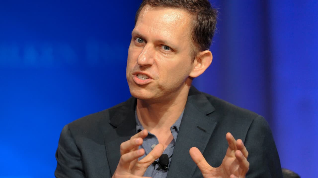 Peter Thiel, Vista'dan 76 milyon dolarlık hisse satın aldı