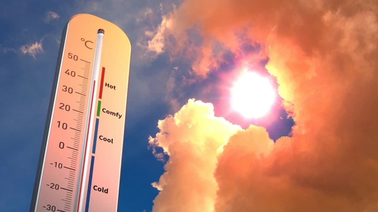El Nino nedeniyle 451 bin ek ölüm riski uyarısı