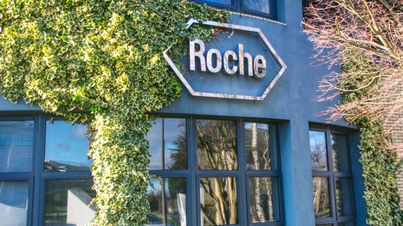 Roche, obezite tedavisi projesini sonlandırdı