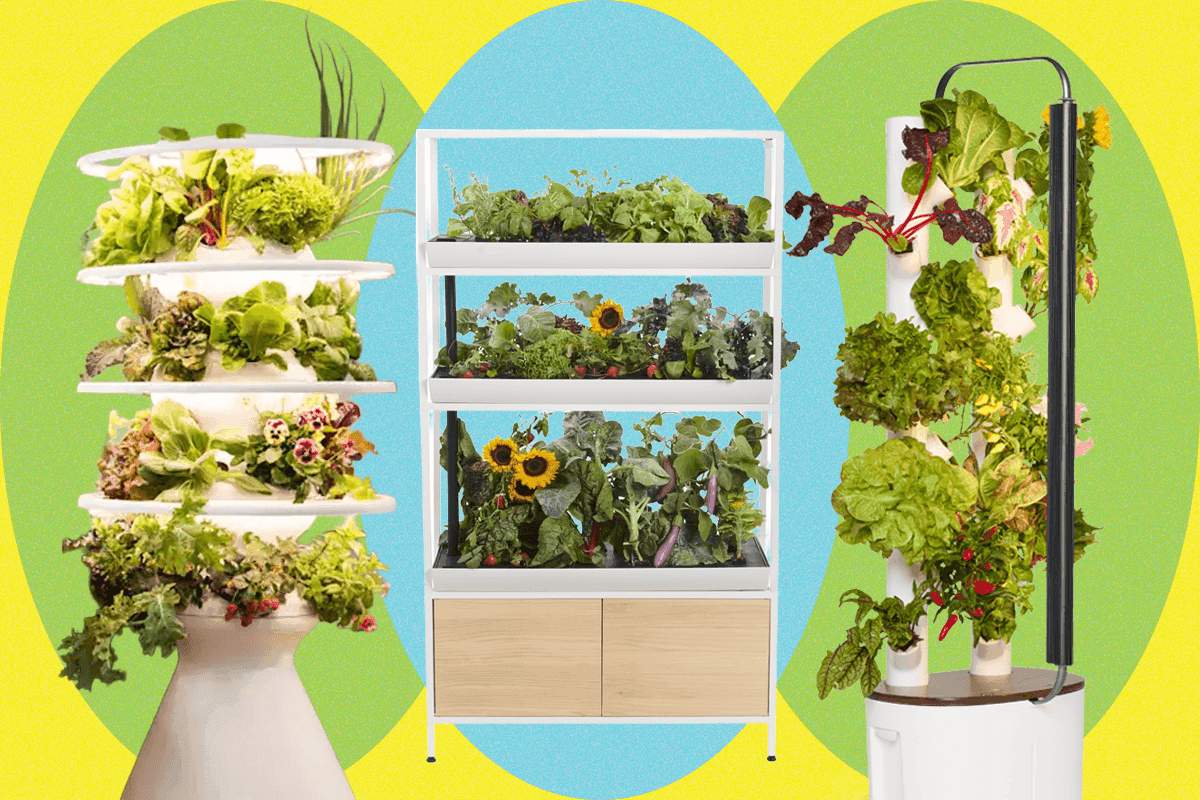 Top Indoor Garden Systems Tested for Home Vegetable Growth