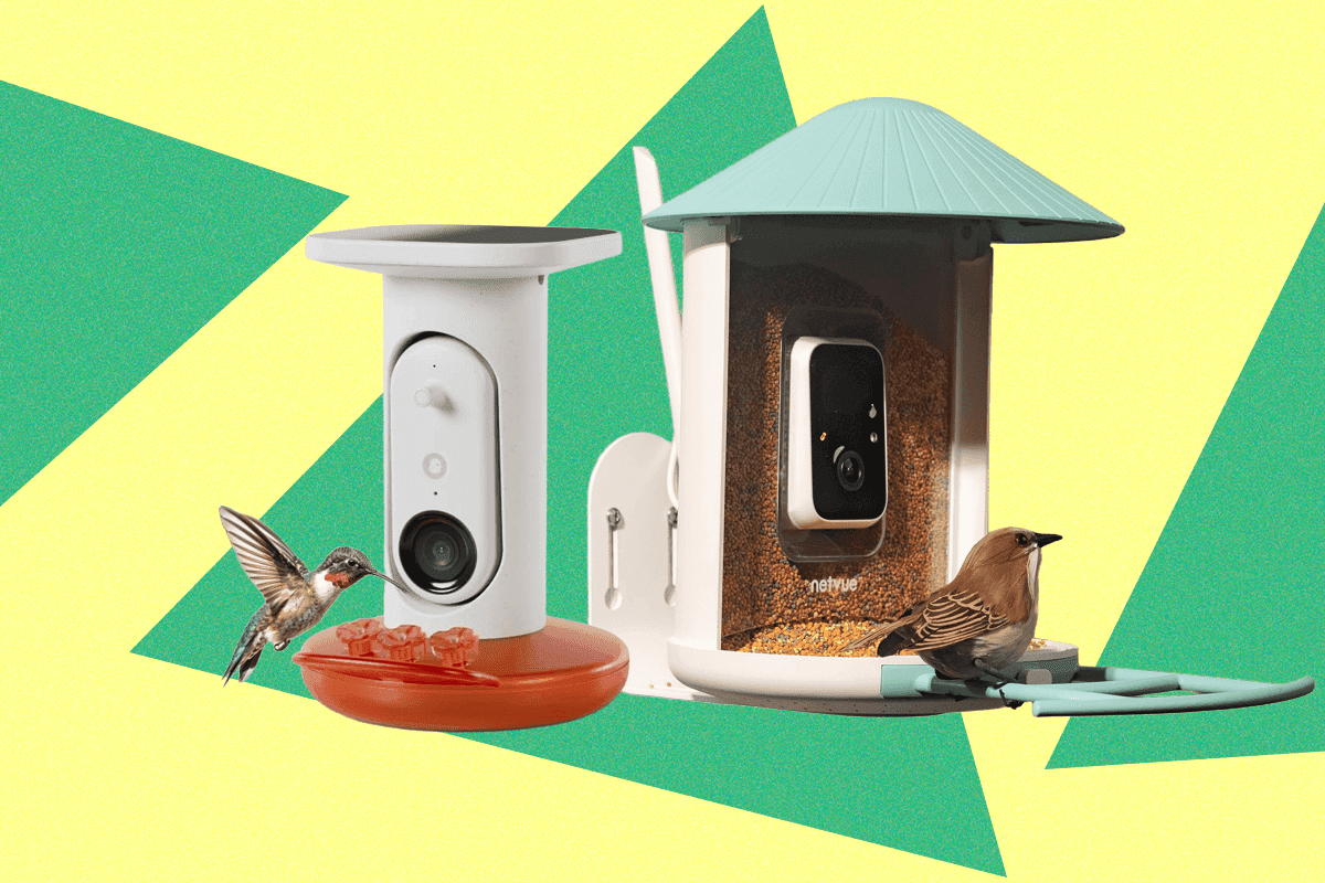 The Smart Bird Feeders Everyone’s Talking About (and Actually Buying) (2026)