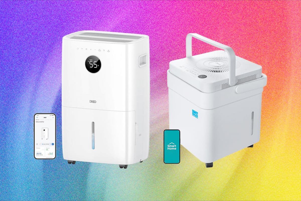 Top 6 Dehumidifiers for Reducing Humidity and Mold Growth