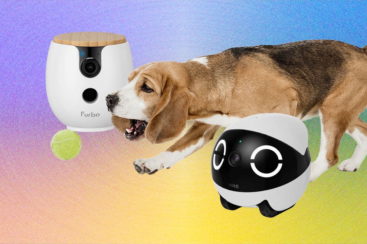 Top 10 Pet Cameras for 2026: Featuring Furbo, Petcube, and Enabot