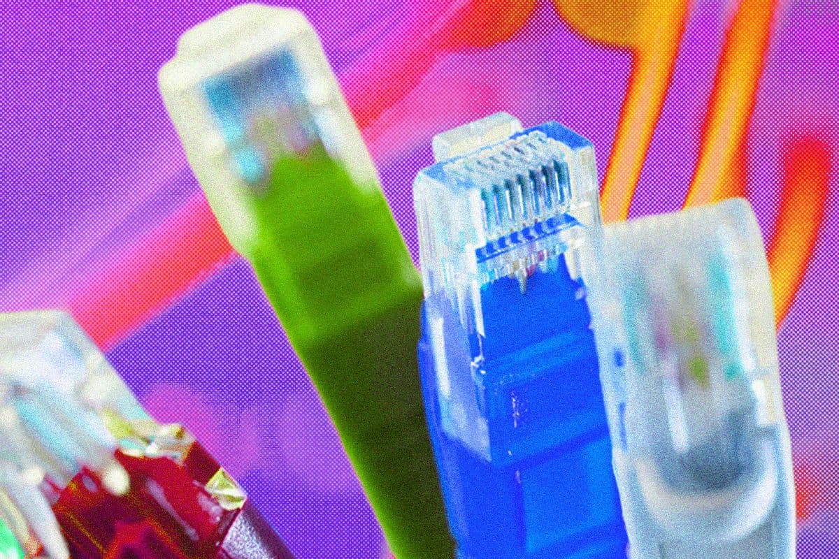 What Is Ethernet? Everything You Need to Know About Wired Networks