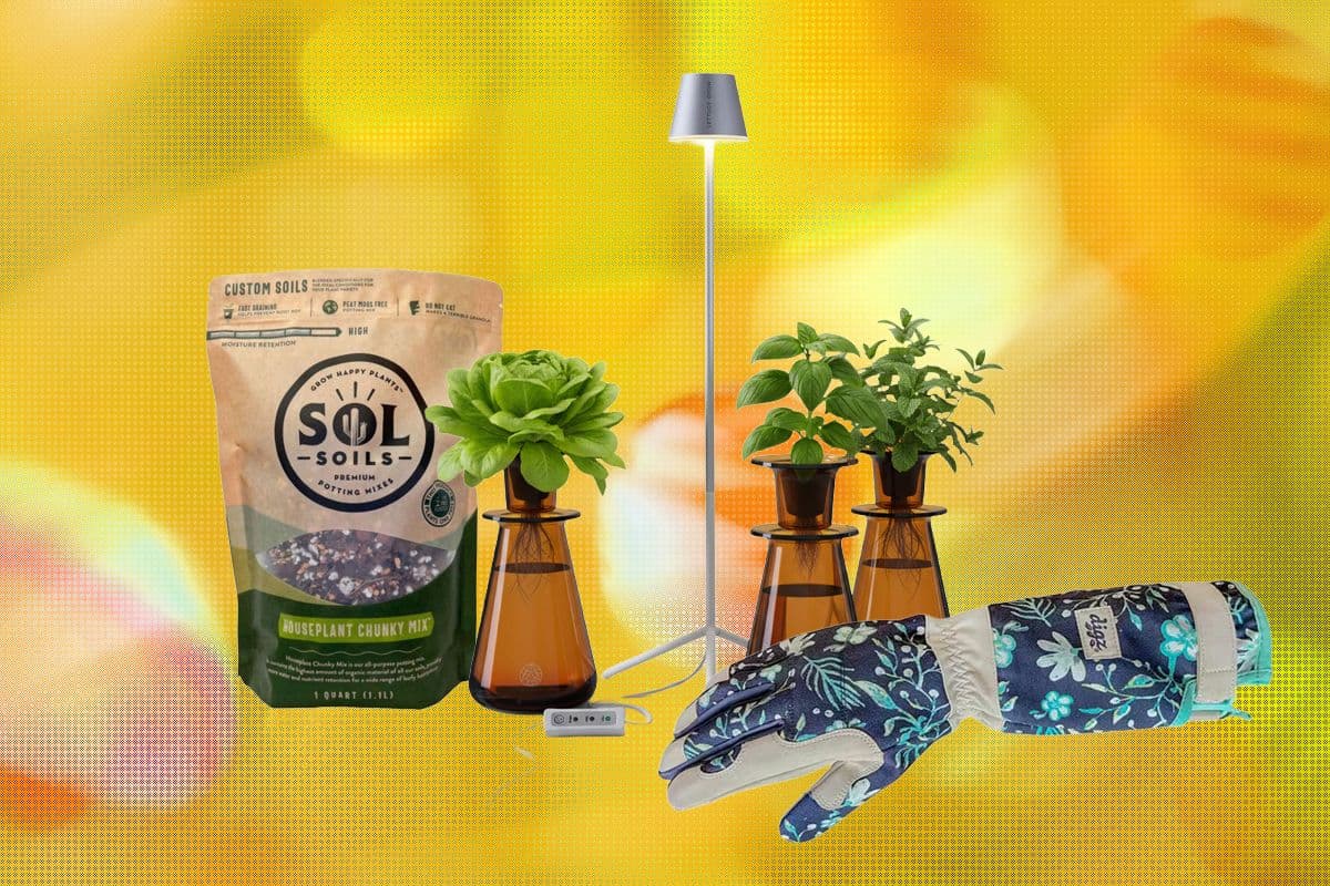 15 Best Gifts for Plant Lovers and Gardeners (2026)