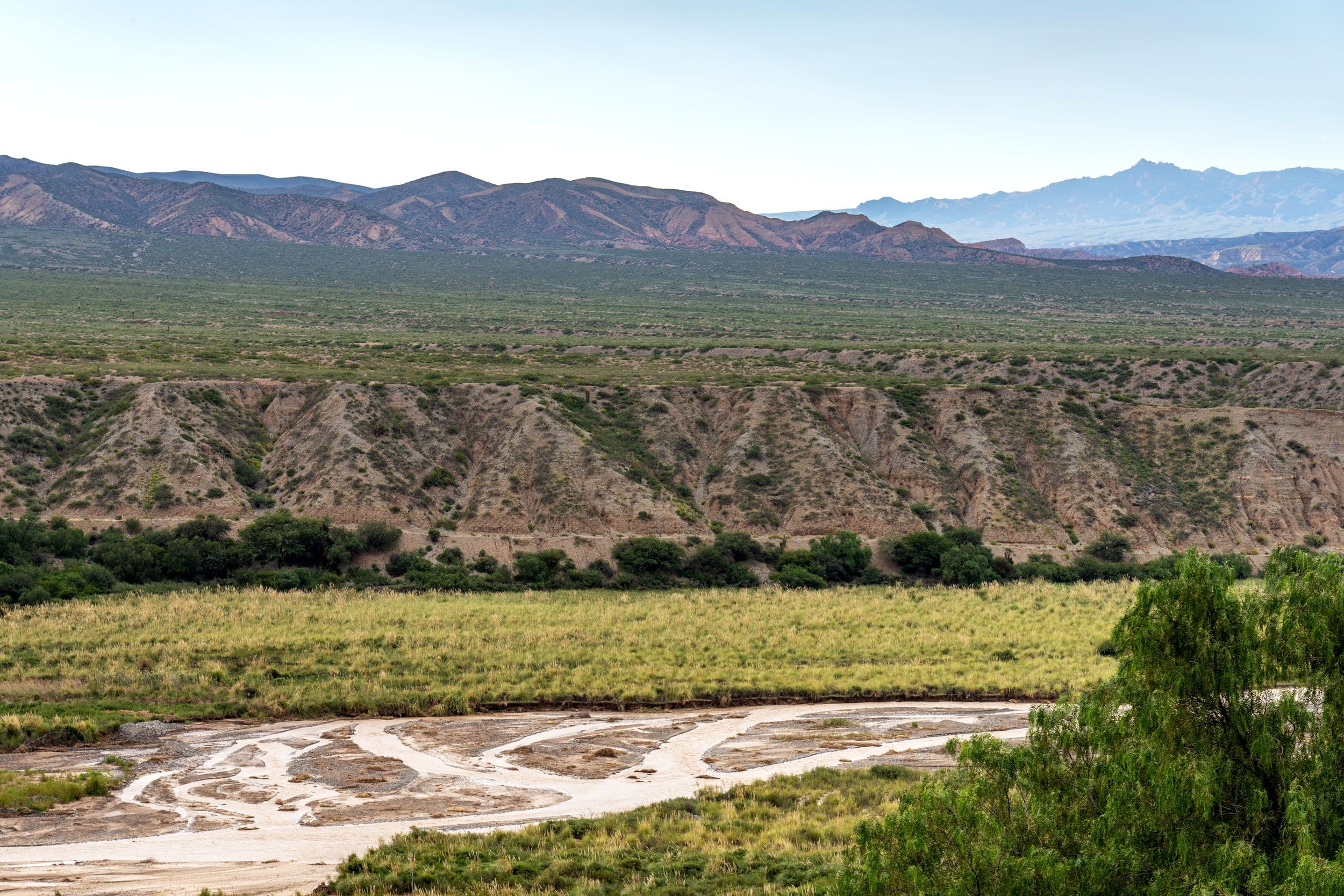 Wet Weather in Argentina Contributes to Hantavirus Outbreak Linked to Rodent Increase