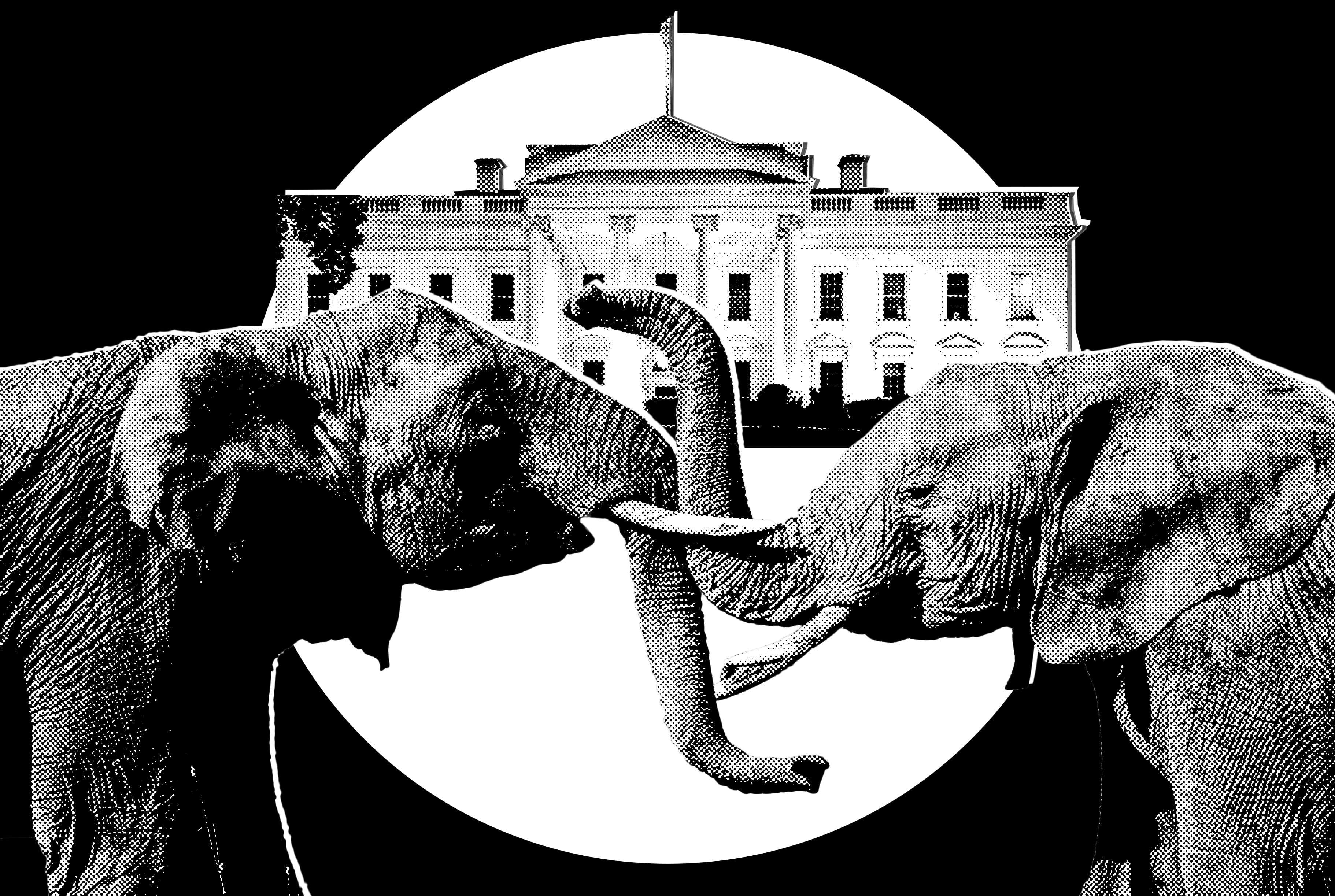 Election Season Begins in Republican Circles Following Massie's Defeat