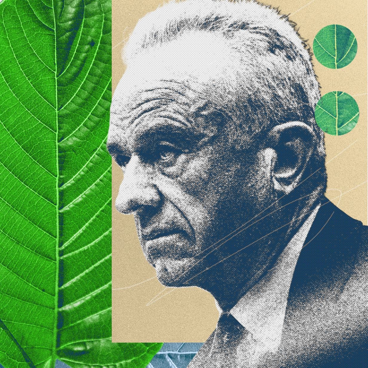 Kratom Controversy Intensifies as MAHA Aligns with One Side