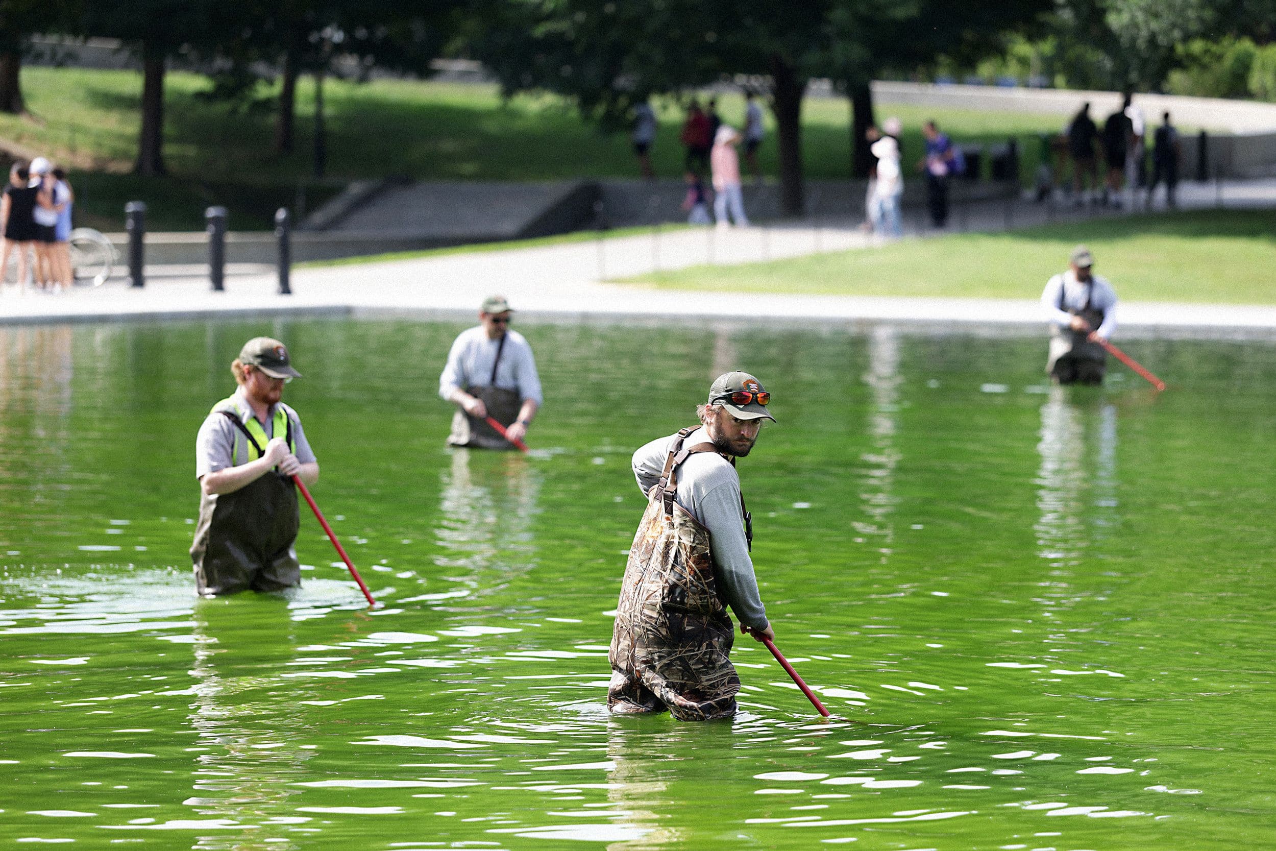 Algae Bloom in Reflecting Pool Following Trump's Renovation Efforts