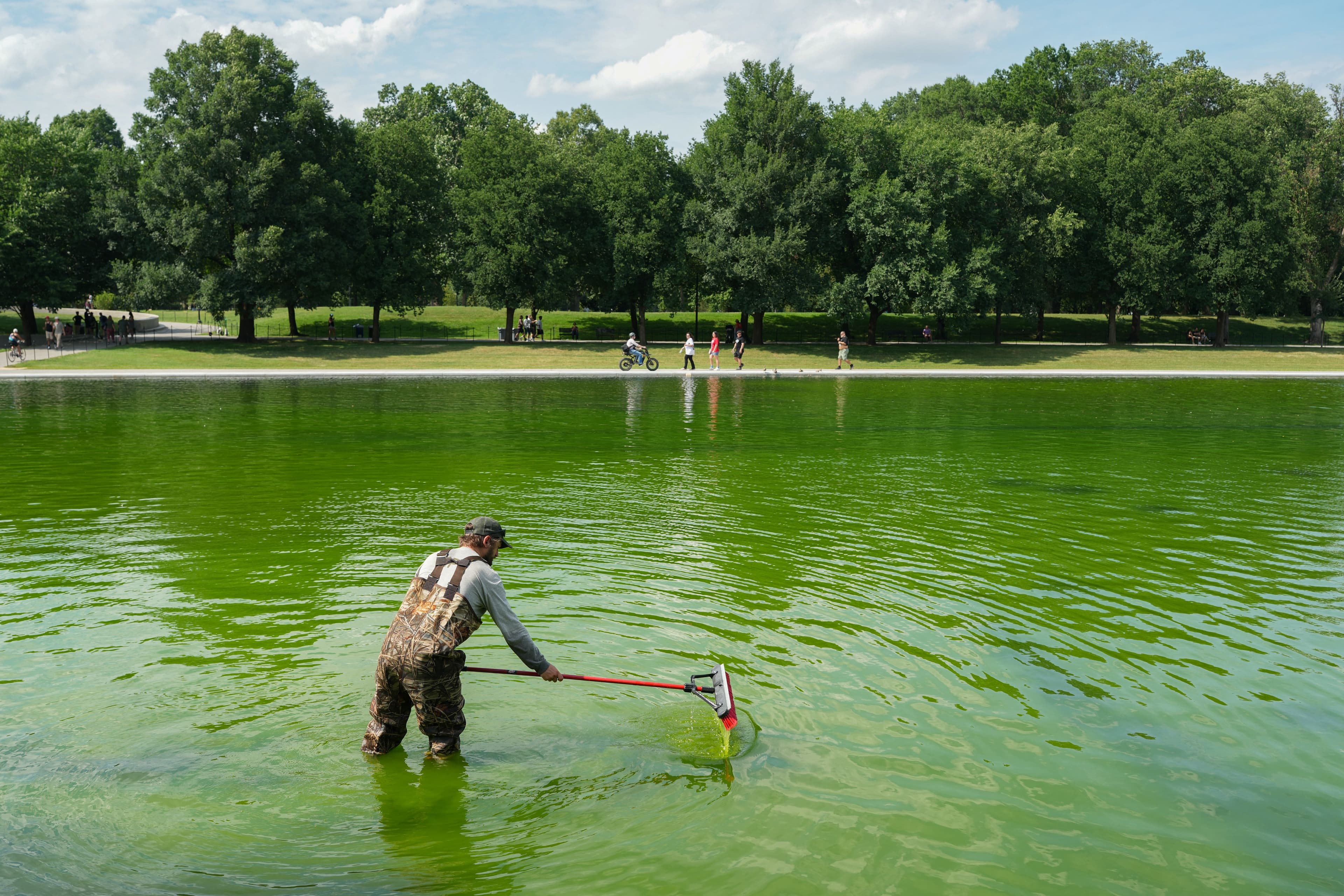 Challenges Persist in Restoring the Reflecting Pool Amid Algae and Damage