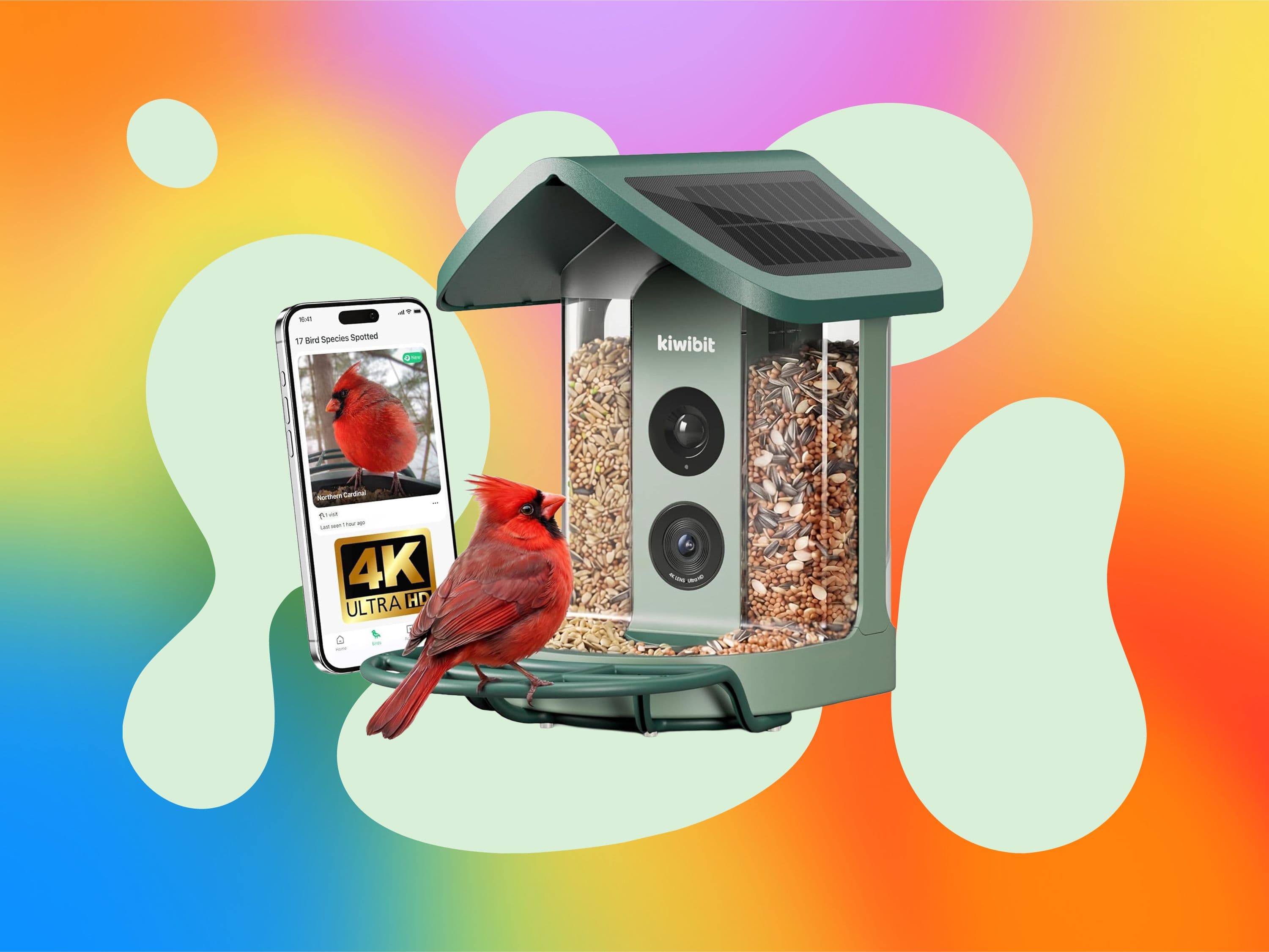 Top Smart Bird Feeder Discounts Available for Prime Day 2026