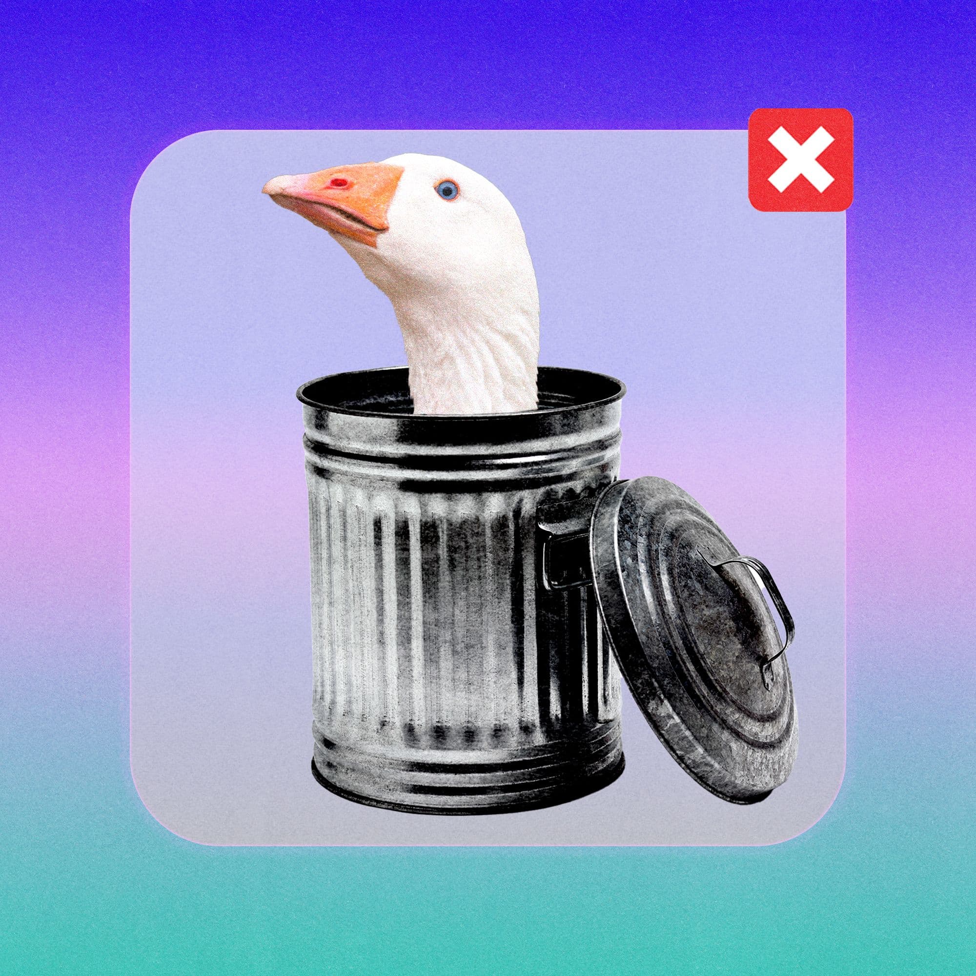 Gay Men Seek Community on Goose App, Yet Some Report Feelings of Exclusion