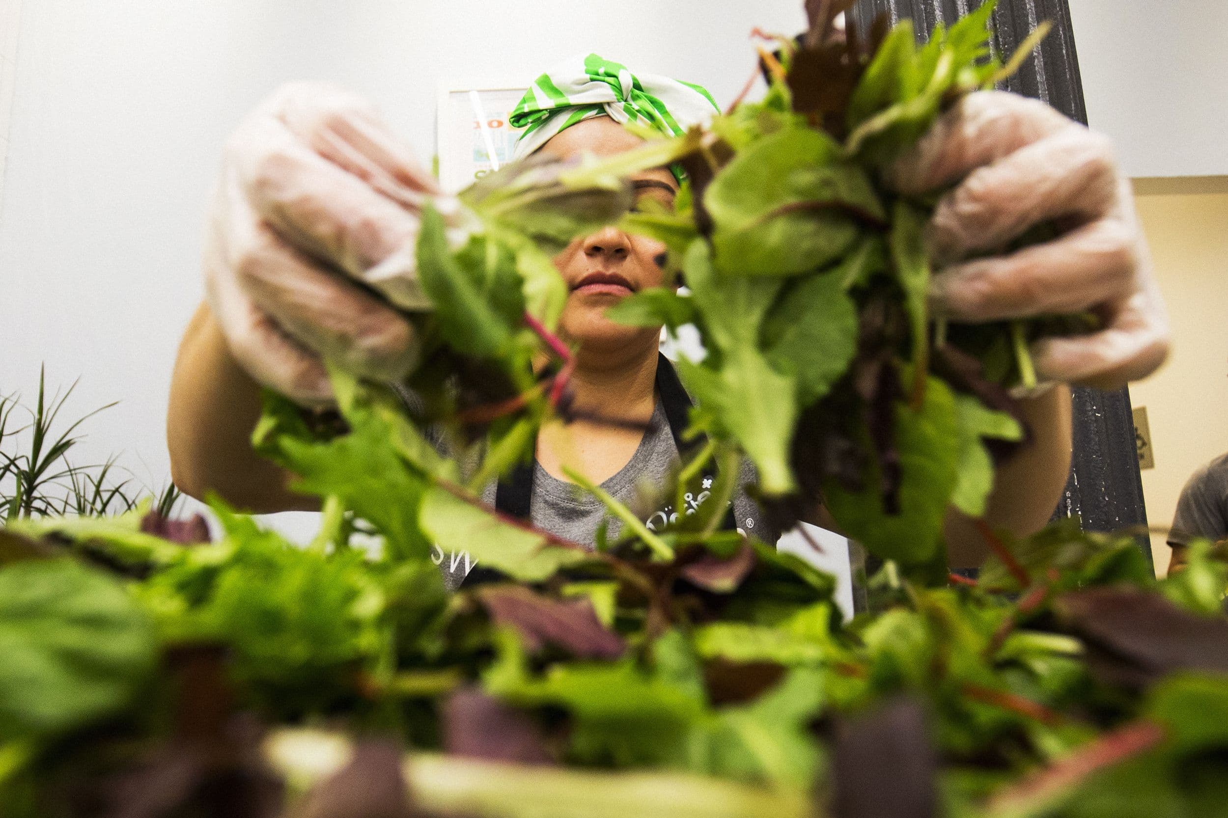 Salad Chains Experience Decline in Customer Visits Amid Cyclosporiasis Concerns