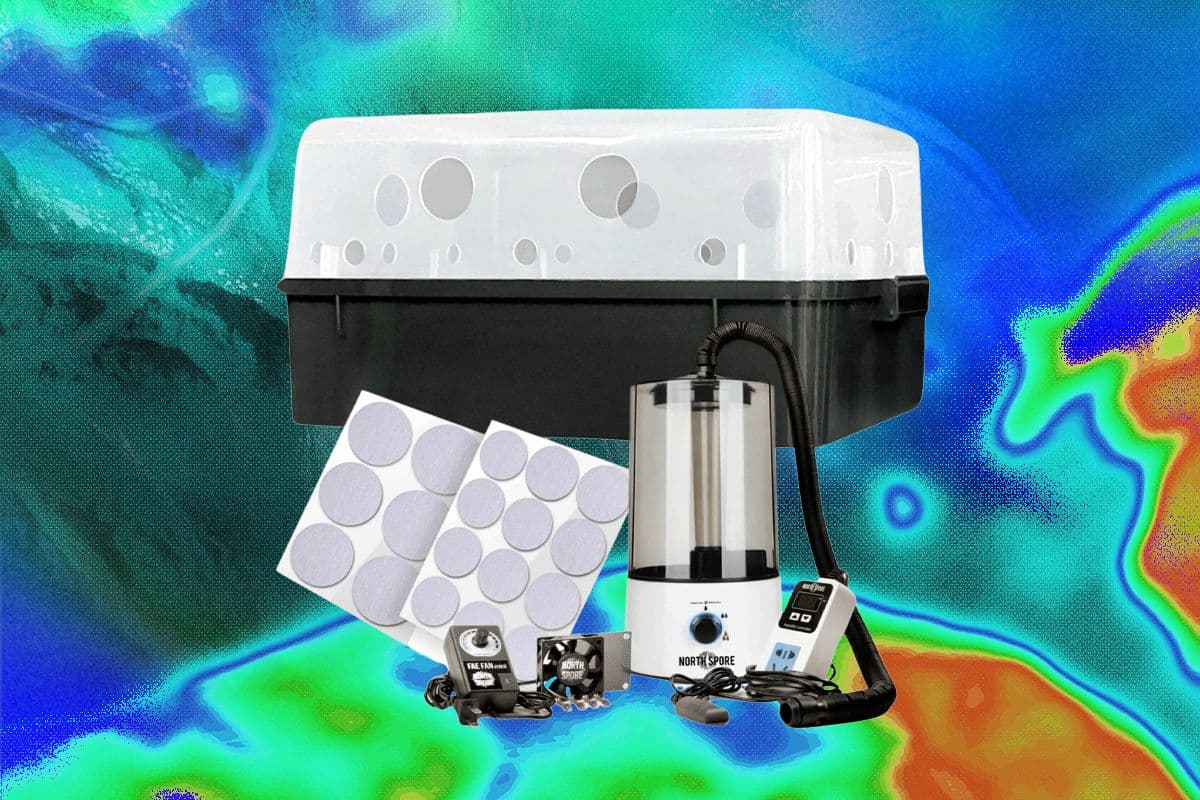 A Comprehensive Guide to Home Mushroom Cultivation Techniques