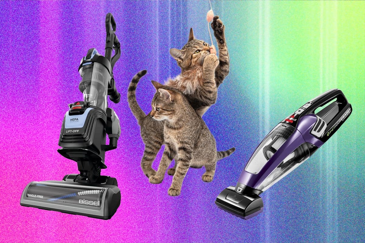 Comprehensive Testing Reveals Top Vacuums for Pet Hair Removal