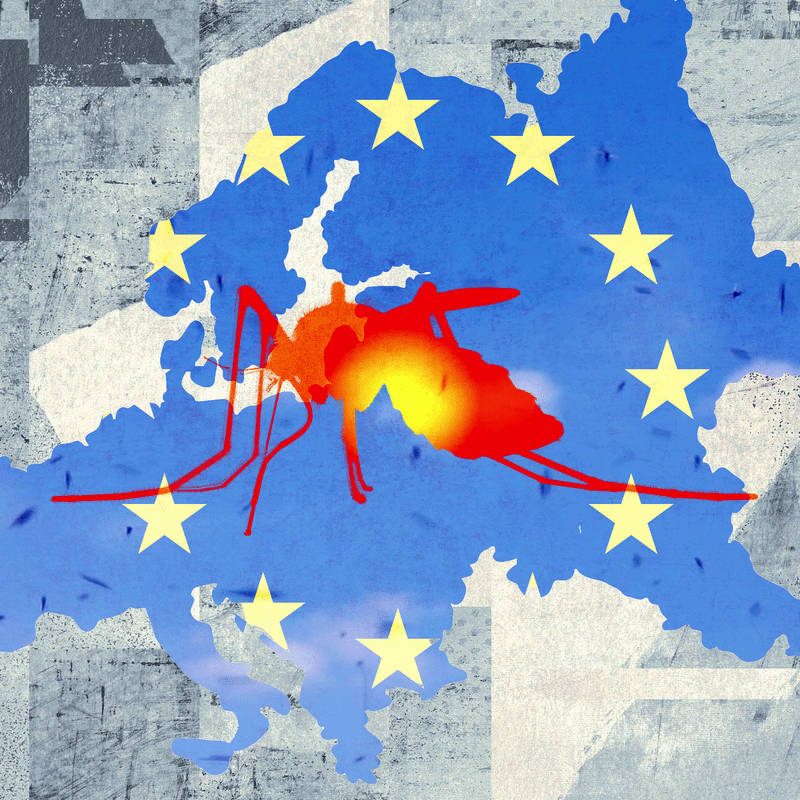Rise of Tropical Diseases Such as Dengue Fever and Chikungunya in Europe