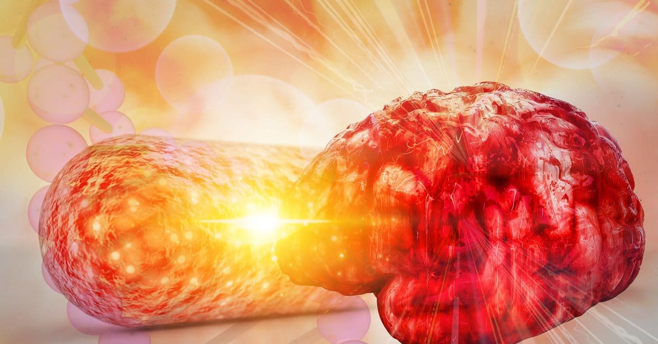 New Research Links Gut Bacteria Metabolite to Alzheimer's Disease Risk