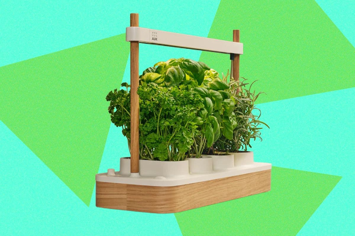 Auk Mini 2 Indoor Smart Garden Enhances Design and Functionality
