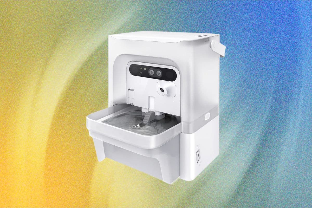 Top Cat Water Fountains for 2026: Petlibro, Petkit, and Oneisall