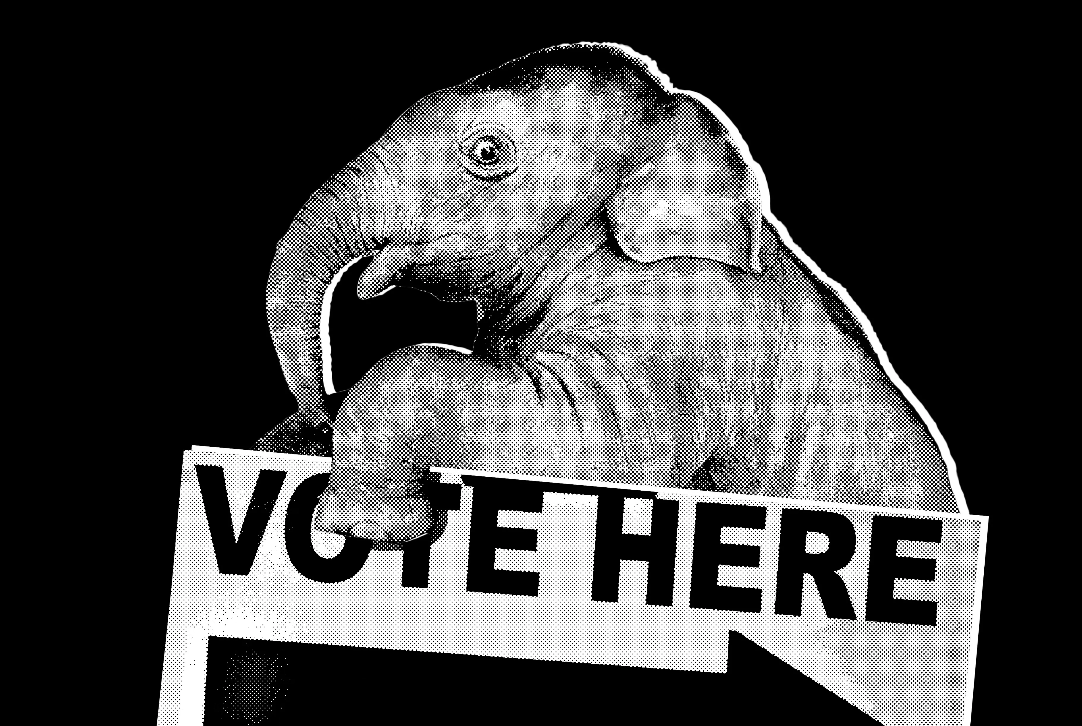 Concerns Rise in the White House Regarding Upcoming Midterm Elections