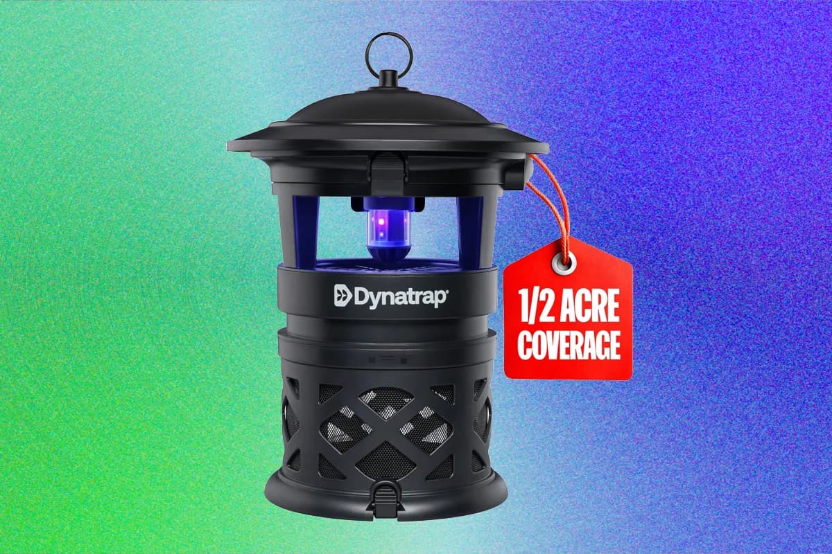 Effective Mosquito Repellents for Your Yard: A Comprehensive Review