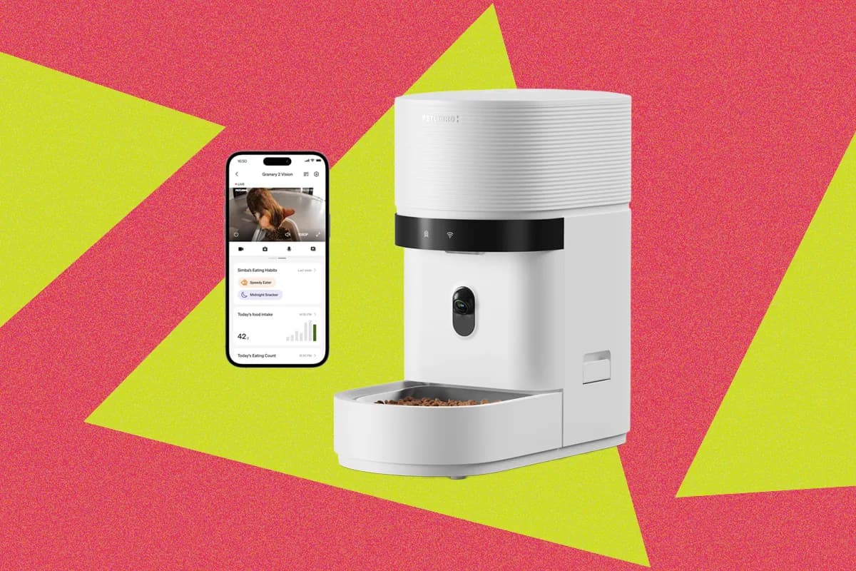 Top 12 Automatic Cat Feeders Tested for Quality and Value