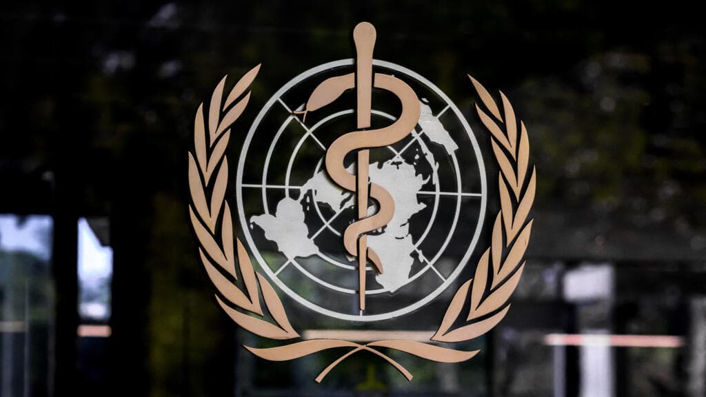 WHO's Annual Summit Confronts Funding Cuts and Ebola Outbreak